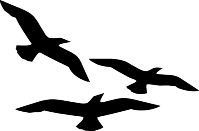 Birds in flight clipart 20 free Cliparts | Download images on