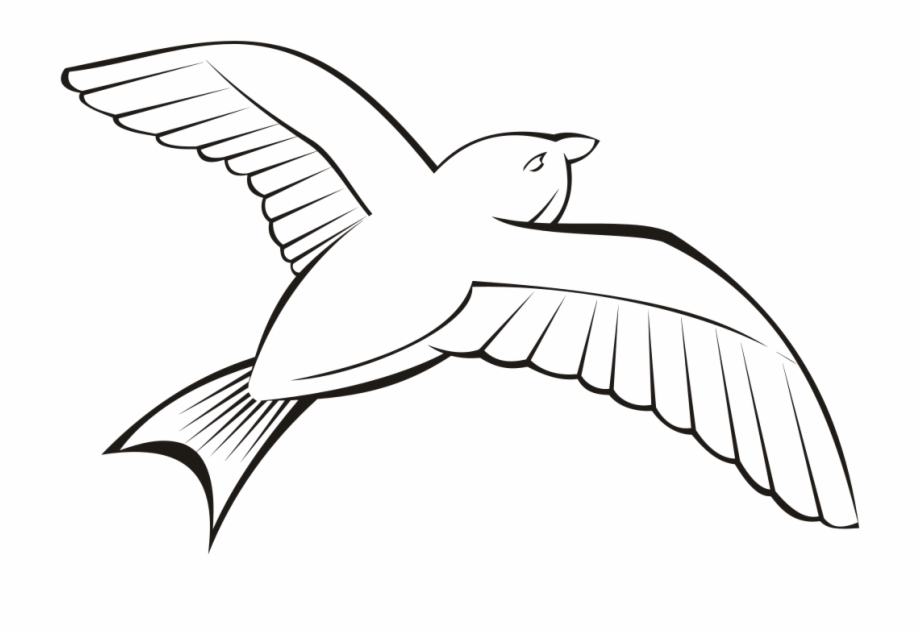 flying-bird-outline-clipart-10-free-cliparts-download-images-on