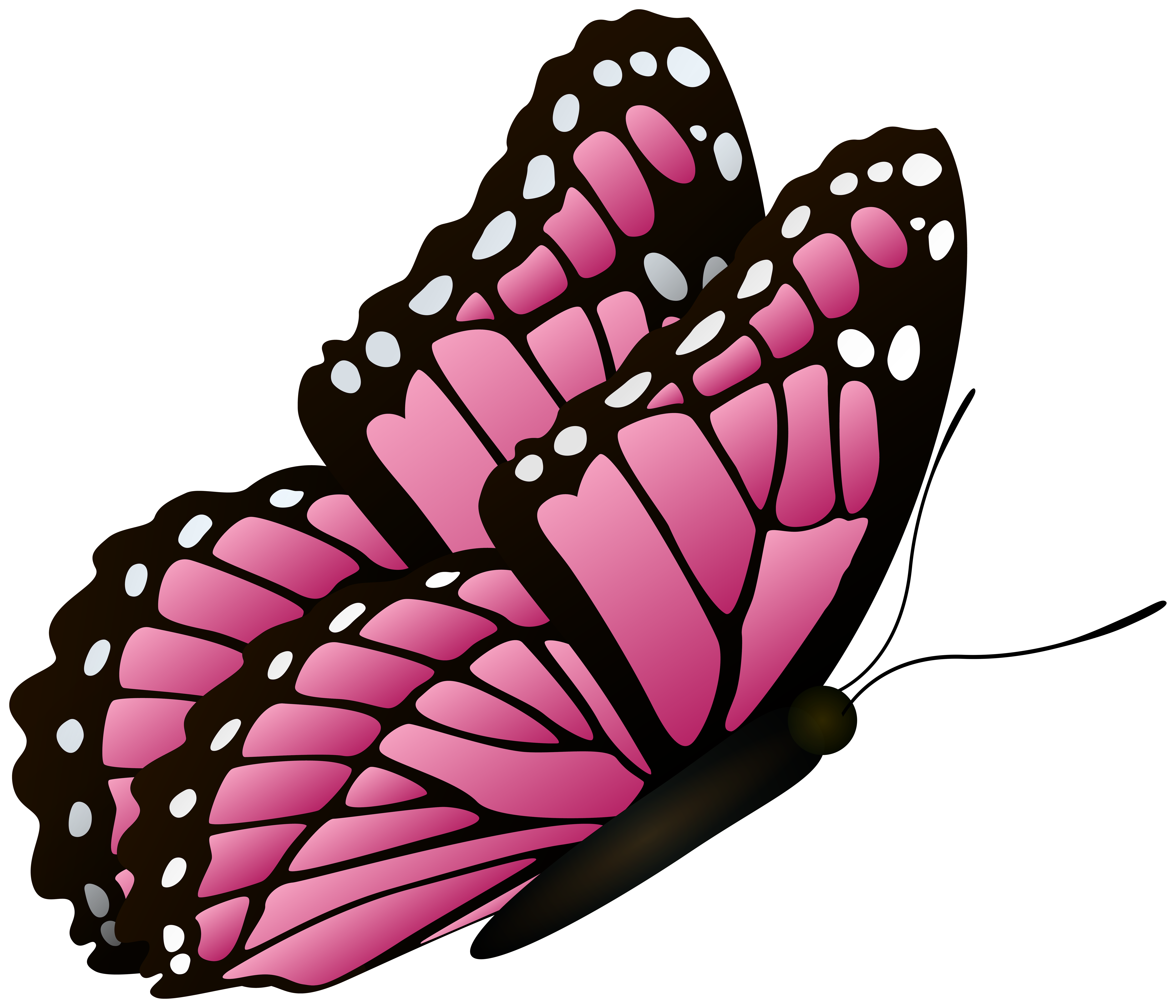 Flying Butterfly Pink Clipart Image.