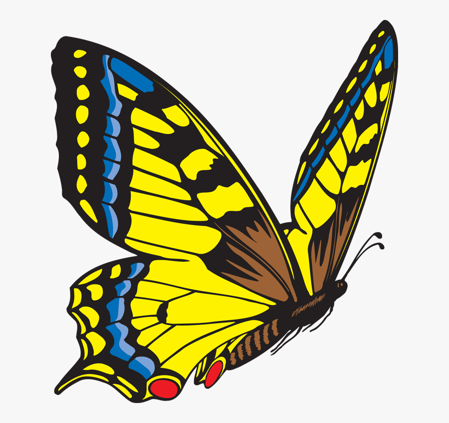 Flying Butterfly Clip Art , Free Transparent Clipart.