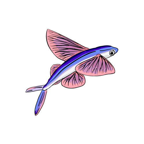 File:Flying Fish.png.