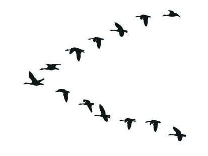 Clip Art Flying Geese Clipart.