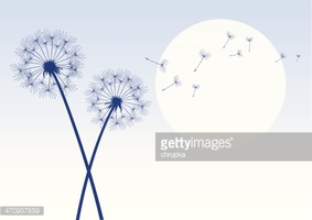 Blue Dandelions With Flying Seeds stock vectors.