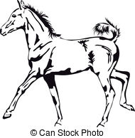 Foal Stock Illustration Images. 1,295 Foal illustrations available.