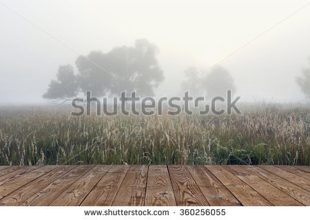 At Cobwebs Dawn Stock Photos, Royalty.