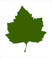 Free Leaves Clipart.