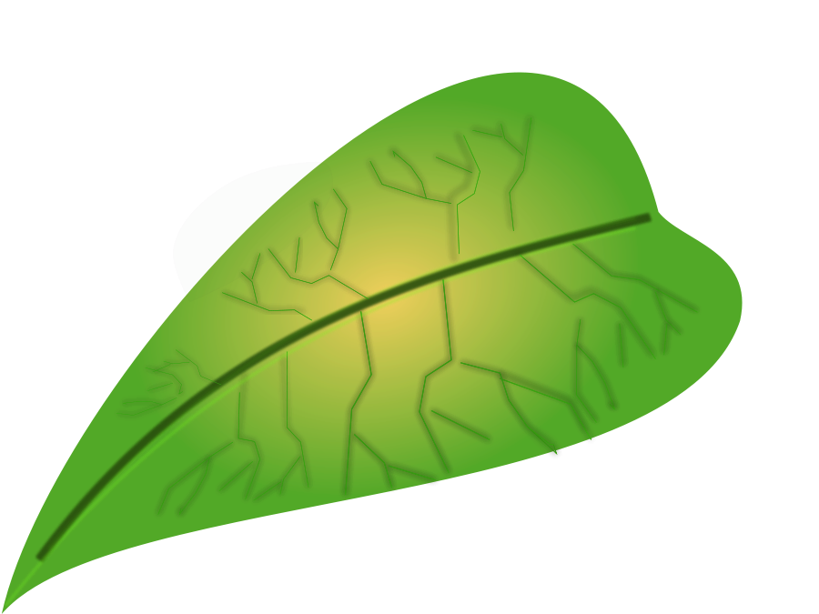 Jungle Leaves Clip Art.