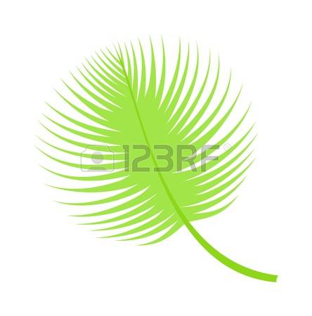 87,656 Foliage Green Stock Vector Illustration And Royalty Free.
