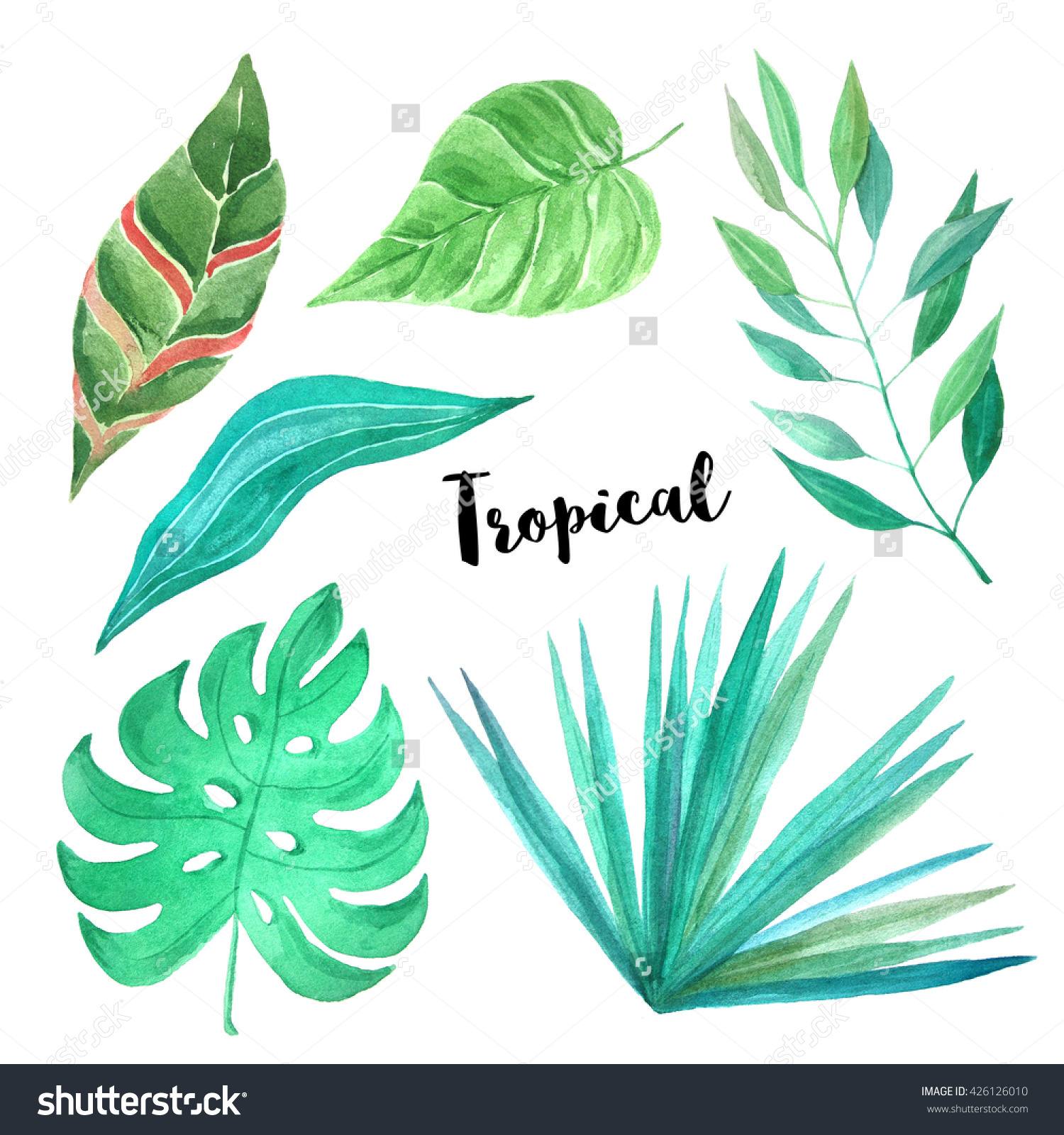 Watercolor Hand Painted Tropical Leaves Plants Stock Illustration.