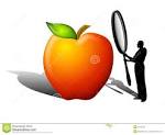 Food inspection clipart.