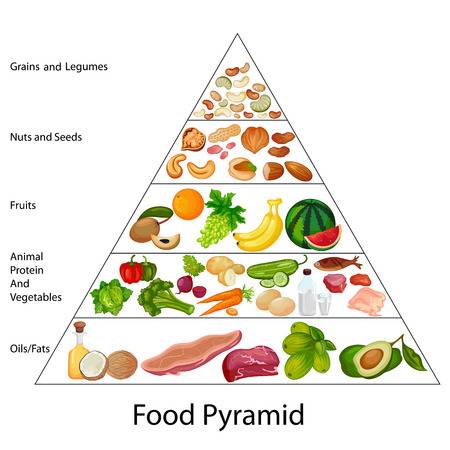 food pyramid clipart 10 free Cliparts | Download images on Clipground 2024