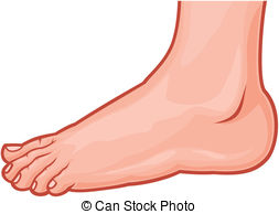 Foot Clipart and Stock Illustrations. 50,236 Foot vector EPS.