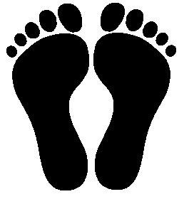 File:2 parallel footprints.png.