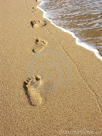 Footprints in the sand clipart 20 free Cliparts | Download images on