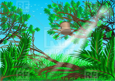Summer forest background with trees and grass Stock Vector Image.