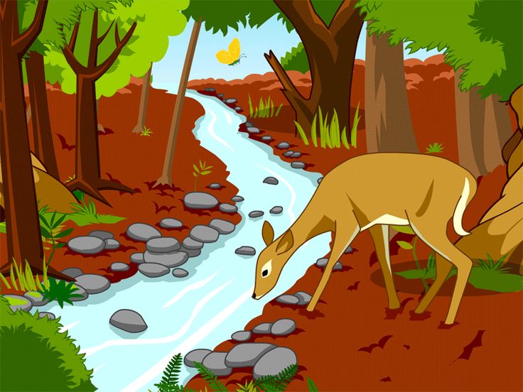 Forest Ecosystem Clipart 10 Free Cliparts Download Images On