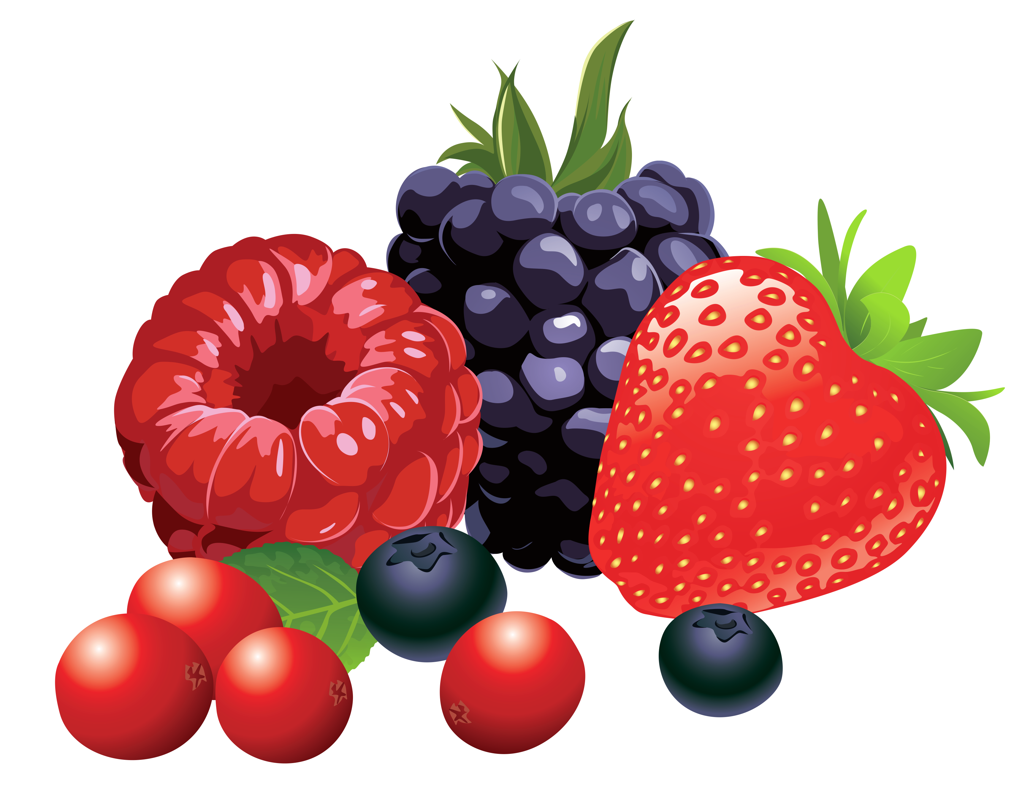 Forest Fruits PNG Vector Clipart Image.