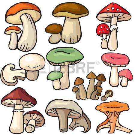 8,903 Forest Mushroom Cliparts, Stock Vector And Royalty Free.