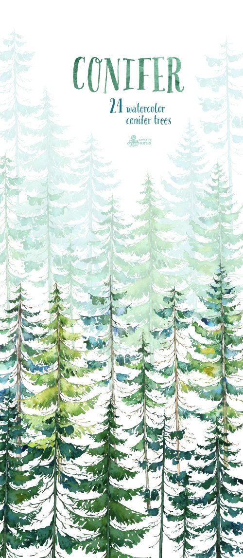 Conifer Trees. Watercolor pine, spruce, forest, wood, landscape.