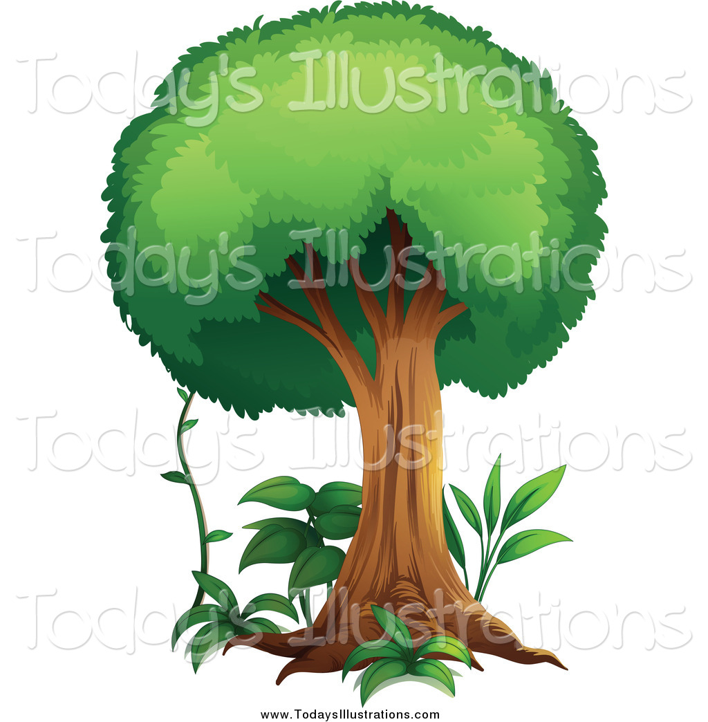 Royalty Free Plant Stock New Designs.