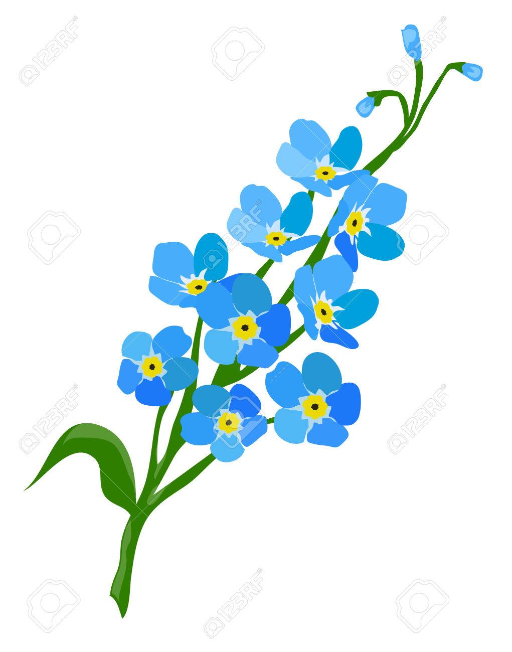 Forget Me Not Clip Art Free 10 Free Cliparts Download Images On Clipground 2023 8073