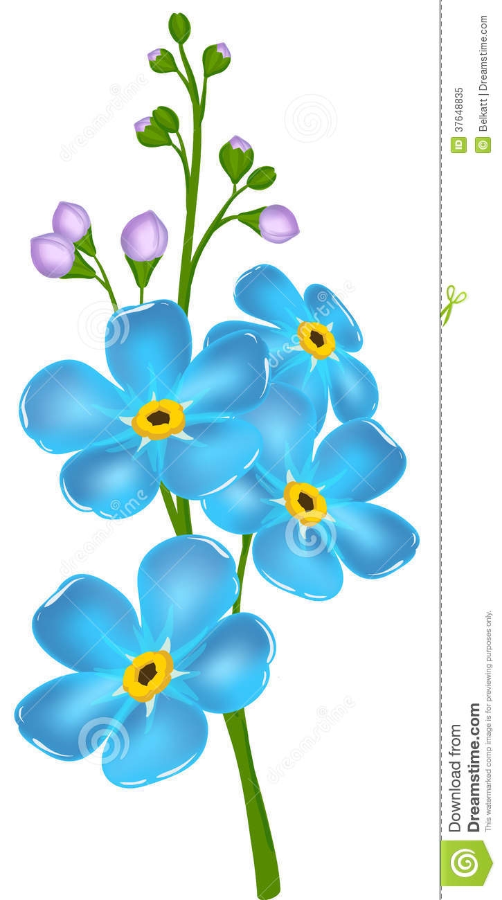 Forget me nots clipart.