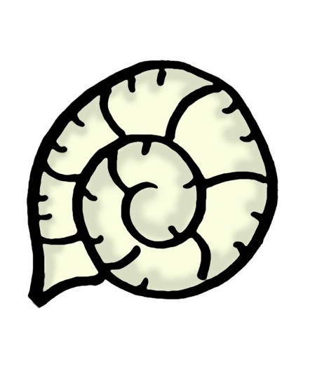 Fossil Clipart Clipground