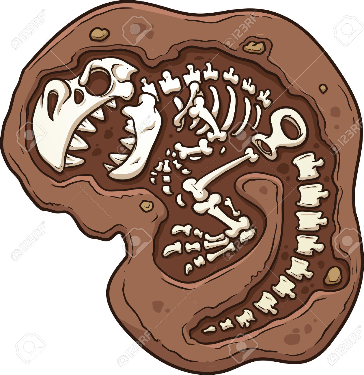 Fossil Clipart Clipground