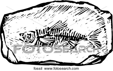 Fossil Clipart.