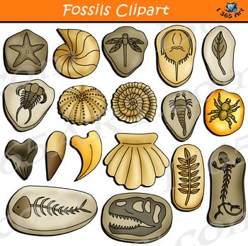 Fossils Clipart.