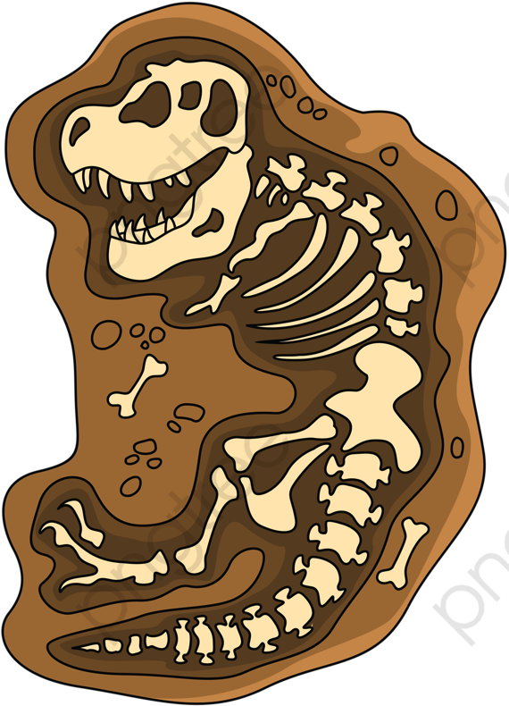 fossil images clipart 10 free Cliparts | Download images on Clipground 2022