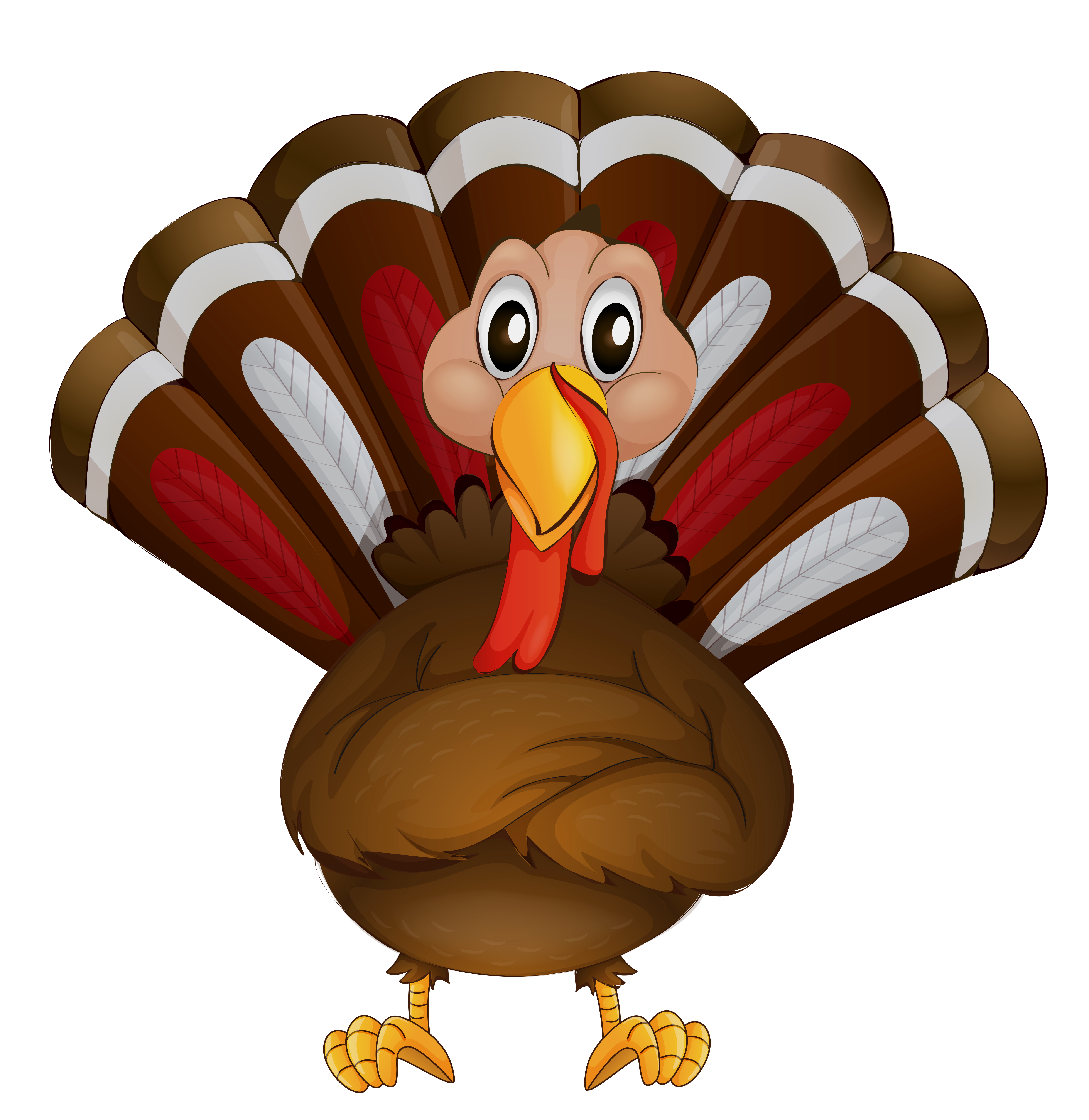 Turkey clipart thanksgiving.