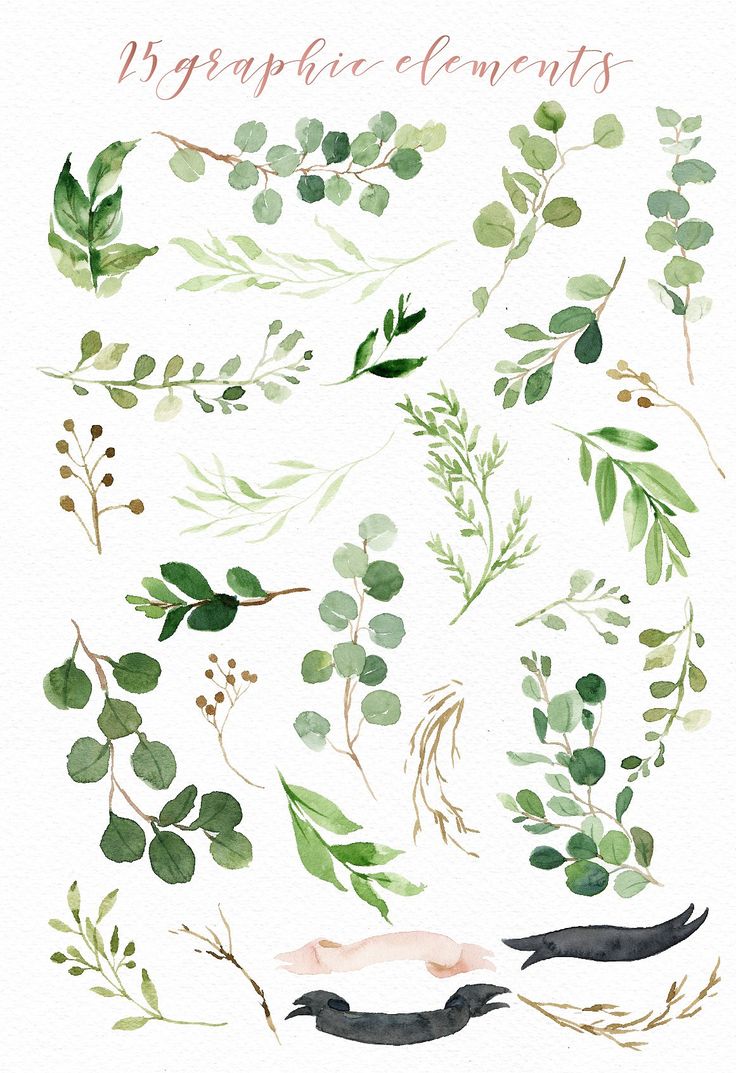 1000+ ideas about Leaf Illustration on Pinterest.