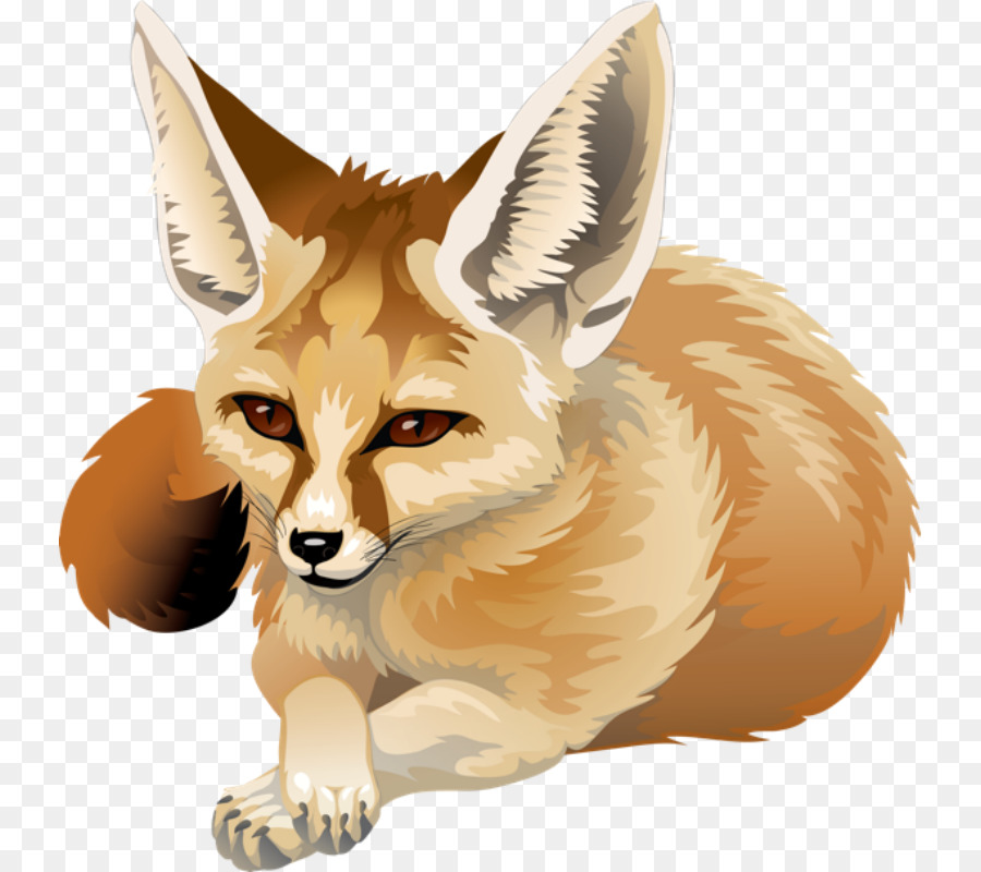 Fox Drawing clipart.