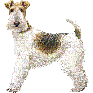 Wire Fox Terrier clipart graphics (Free clip art.