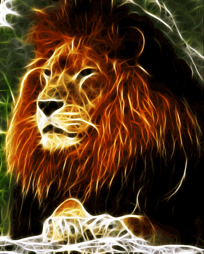 Lion Animation.