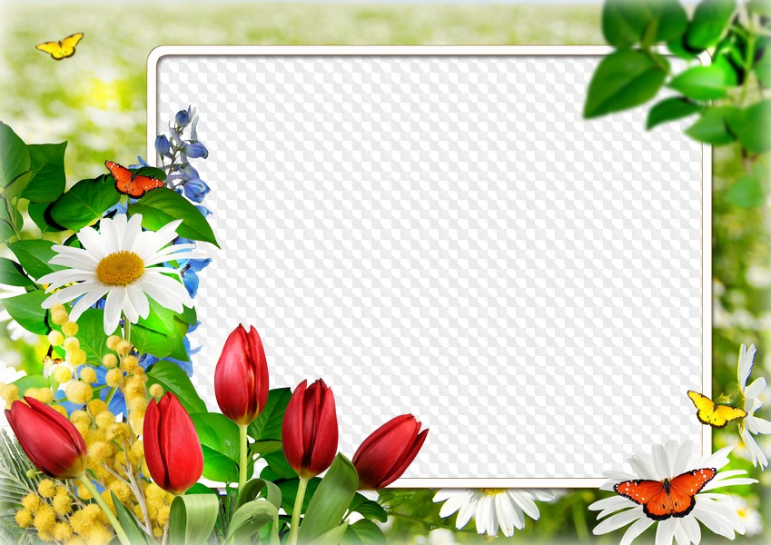 7 photo frames PNG format with beautiful flowers.