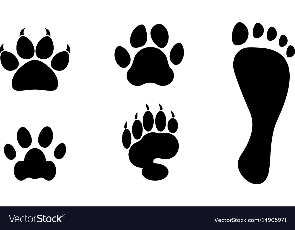 Animals and man foot print clip art.