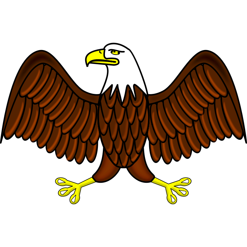 Patriotic Bald Eagle.