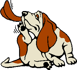 Free Hound Cliparts, Download Free Clip Art, Free Clip Art.