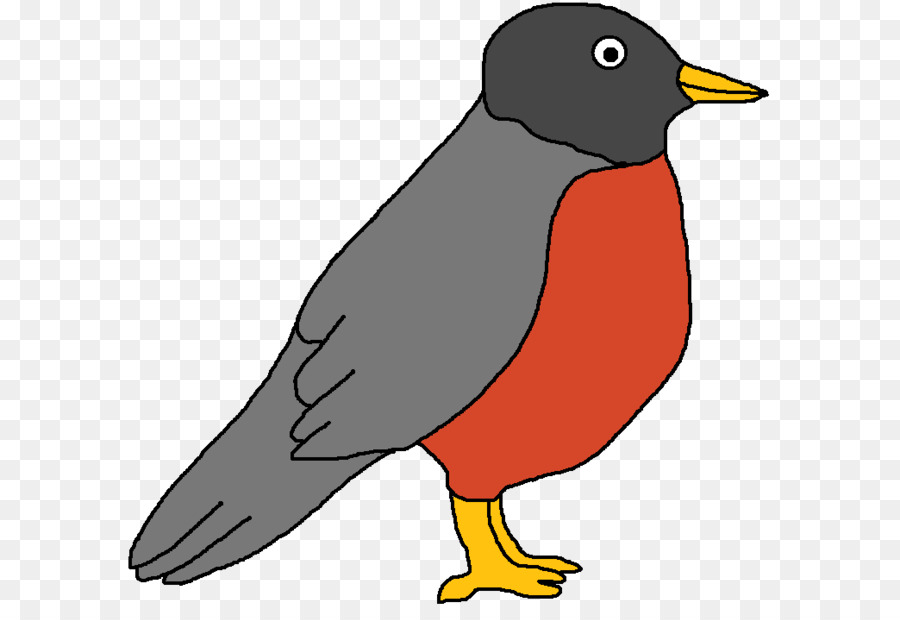 Robin Bird png download.