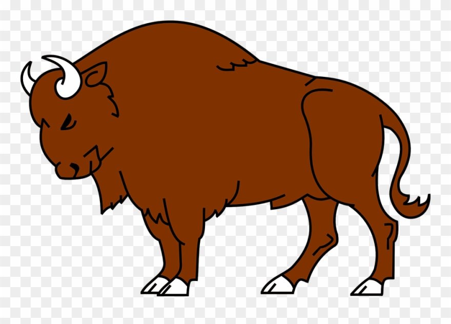Clip Art Royalty Free Library Bison Clipart Simple.