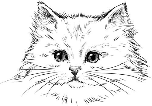 Free Free 172 Outline Cat Face Svg Free SVG PNG EPS DXF File