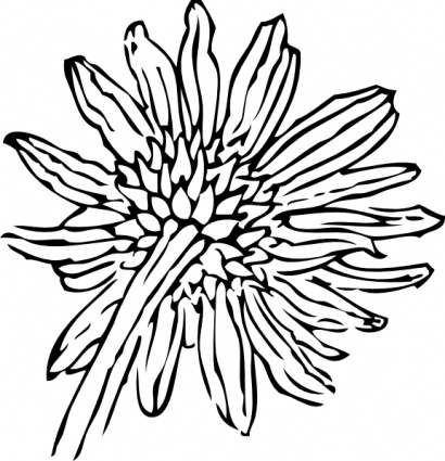 Sunflower black and white sunflowers clipart black and white free.