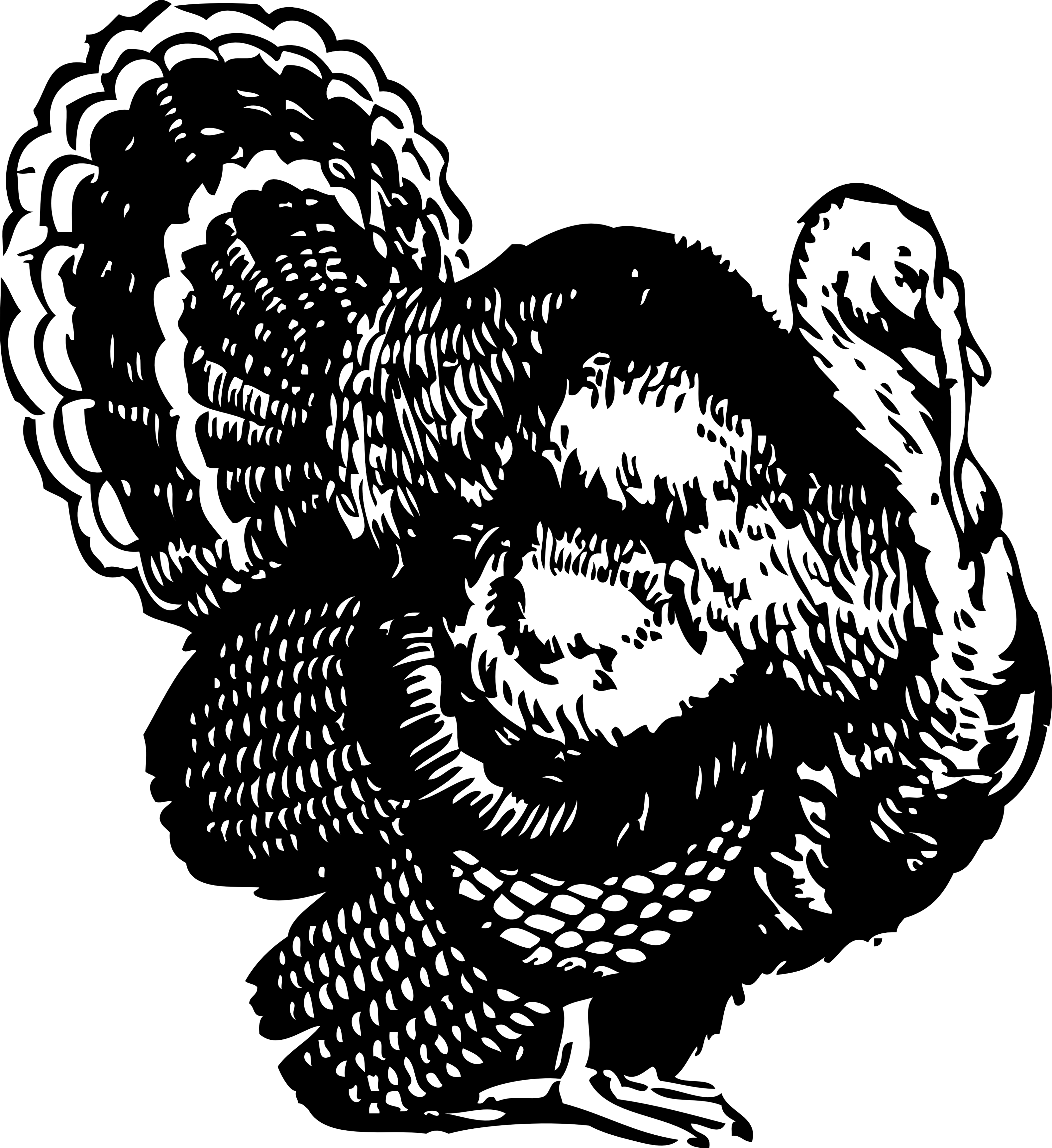 Turkey black and white turkey clipart black and white free images.