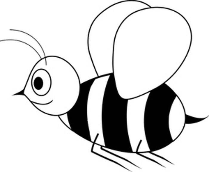Black And White Clipart Bee.