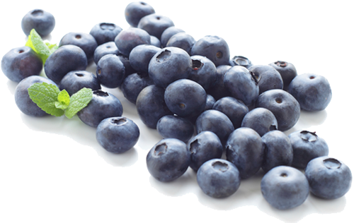 694 Blueberry free clipart.