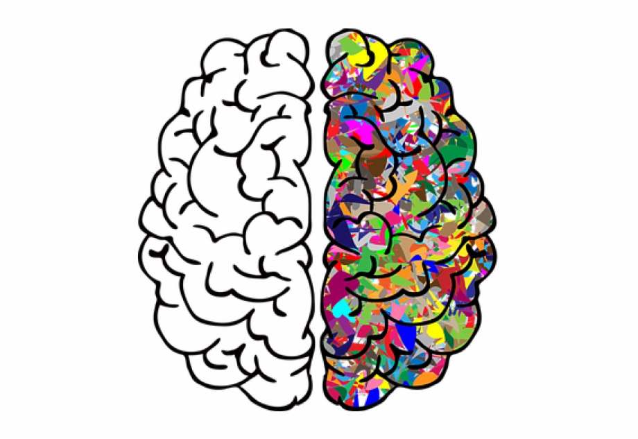 free brain clipart 10 free Cliparts Download images on