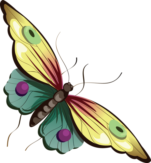 Cartoon Butterfly Clipart.