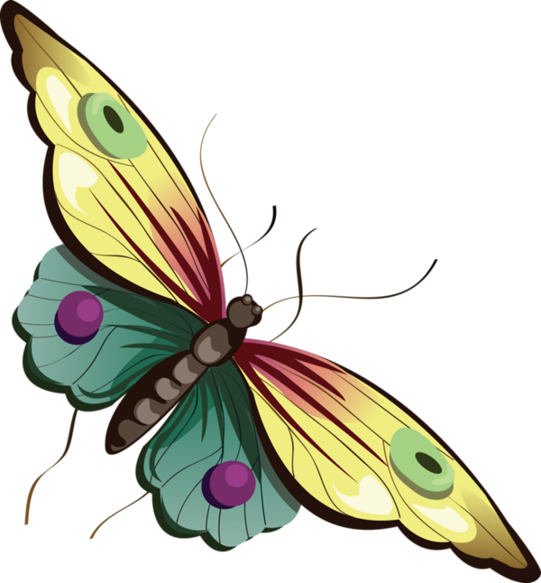 Free Cartoon Butterfly Clipart 20 Free Cliparts Download Images On